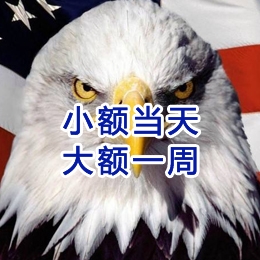新县要账公司